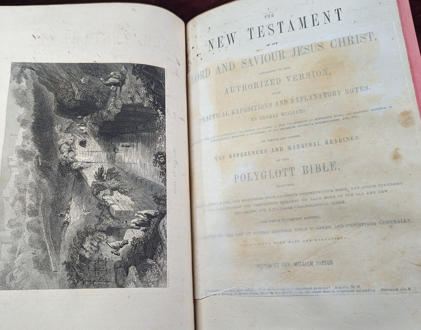 Rare 1856 Antique Cottage Bible Victorian 2-Volume Polyglot Edition Refurbished