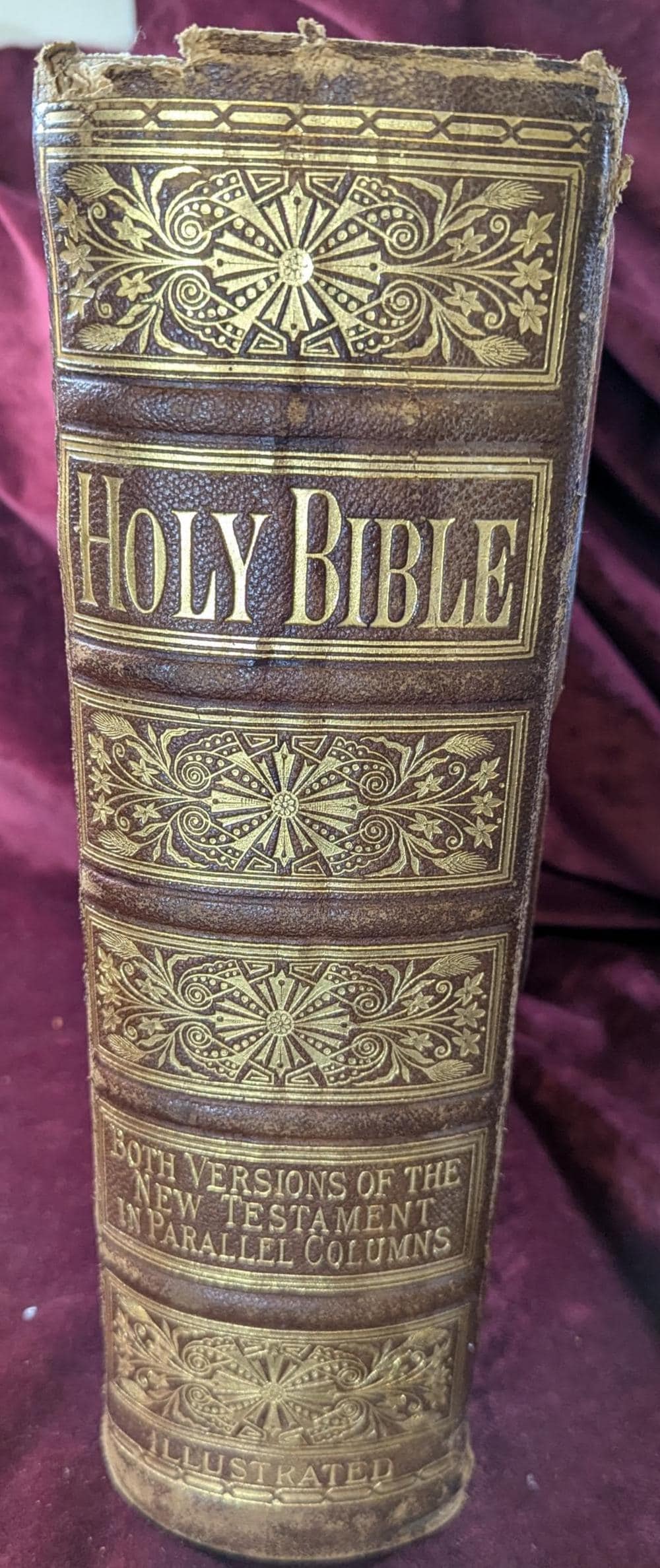 Antique Leather 1885 Standard Edition The Holy Bible -Large Royal Quarto Size with Ornate & Embossed Covers - Illustrated Color Pictures
