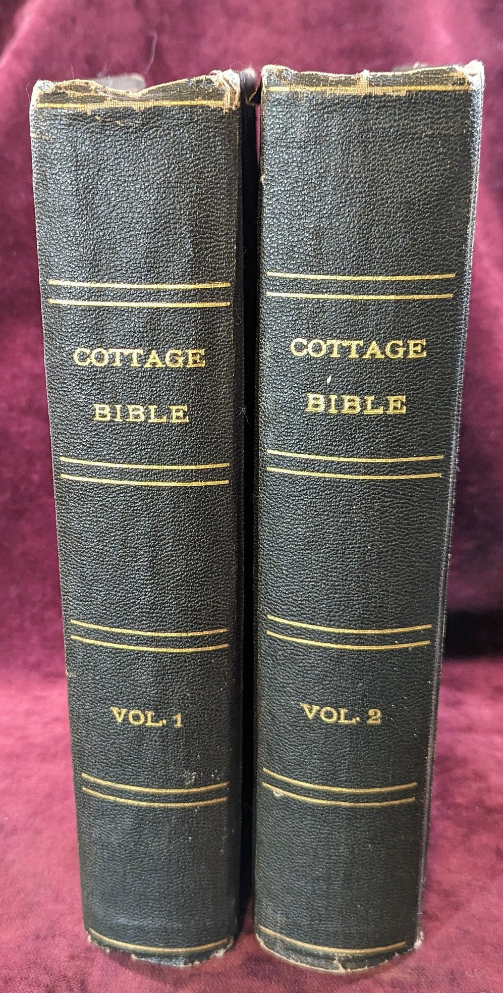 Rare 1856 Antique Cottage Bible: 2-Volume Polyglott Edition