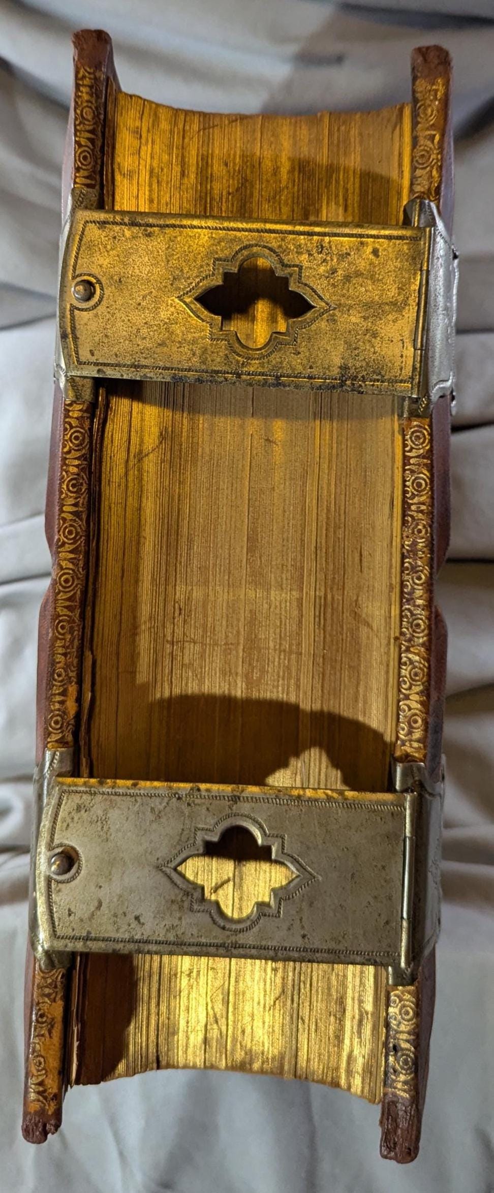 Antique Embossed Leather Holy Bible 1886 Clasps Illustrated Color Parallel Edition