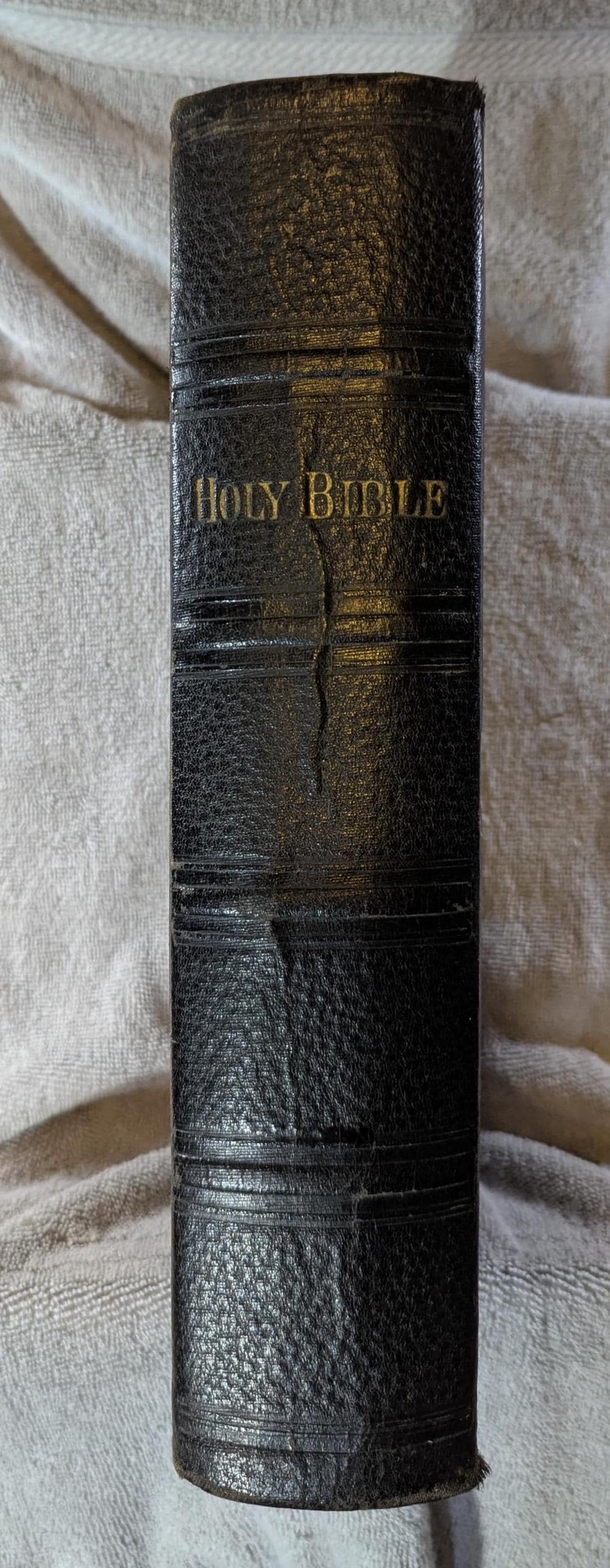 Antique Holy Bible  Holman Edition ca 1910 Large Embossed Split Leather Cover with Dictionary