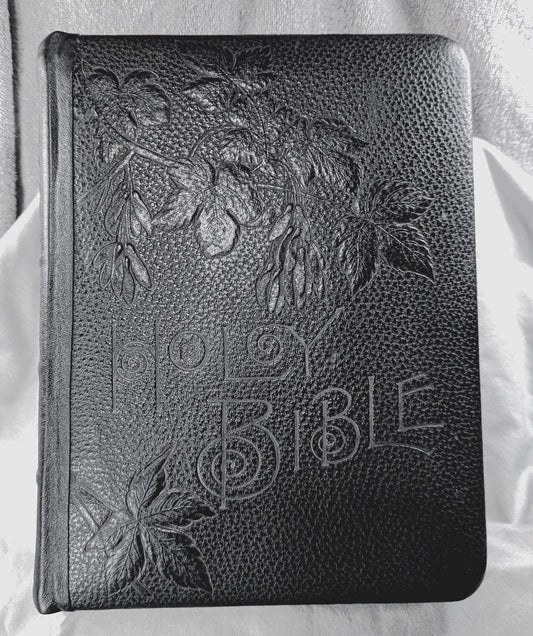 Rare Antique Holman Holy Bible, Illustrated Leather Cover, ca 1900